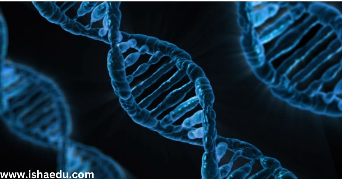 Decoding The Blueprint Of Life: DNA, Scientists, And The Wonders Of Genetics