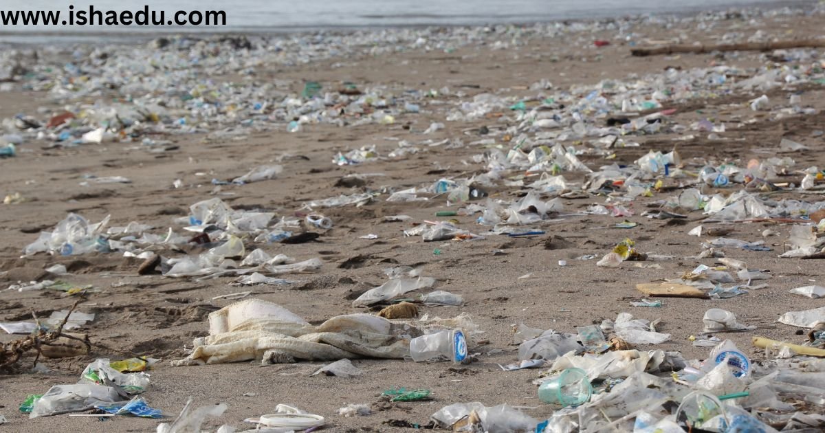 Plastic Footprints: From Everyday Waste To Fossil Evidence