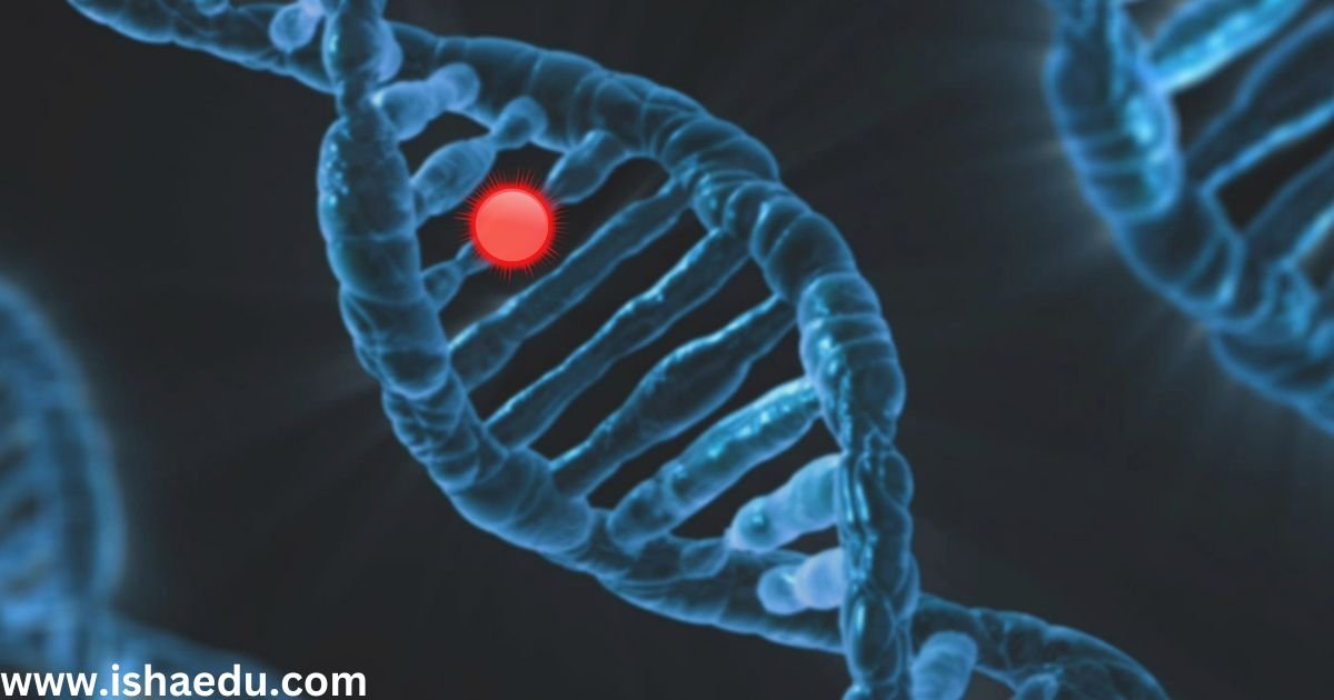 Decoding The Blueprint Of Life: DNA, Scientists, And The Wonders Of Genetics