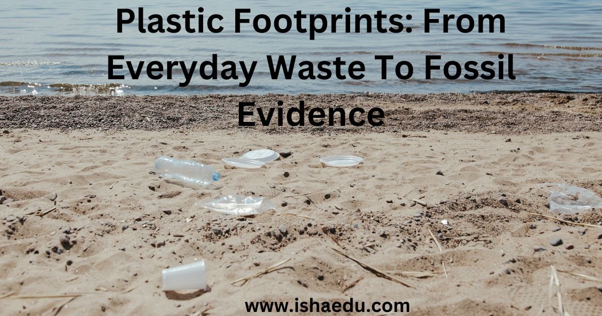 Plastic Footprints: From Everyday Waste To Fossil Evidence