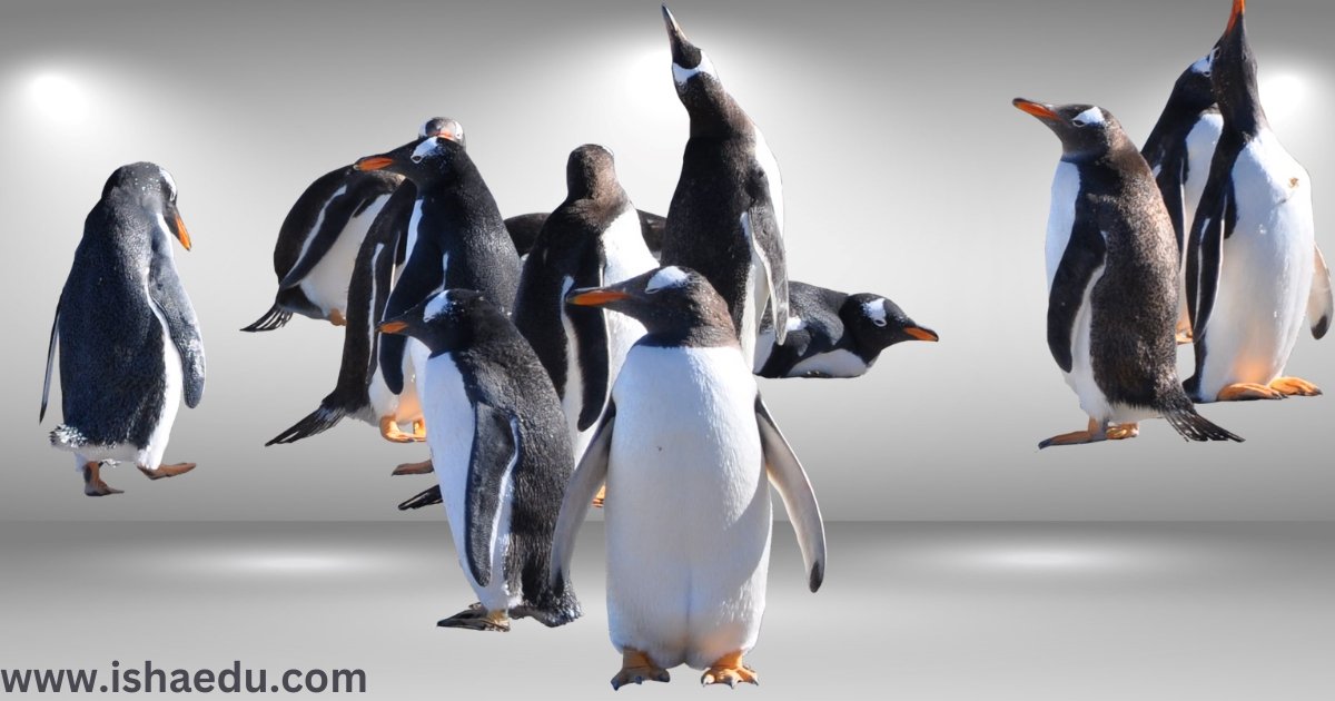Penguin Awareness Day