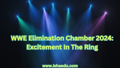 WWE Elimination Chamber 2024: Excitement In The Ring