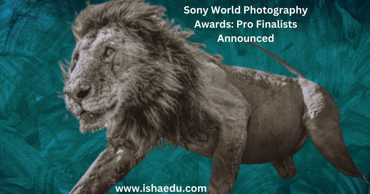 Sony World Photography Awards: Pro Finalists Announced