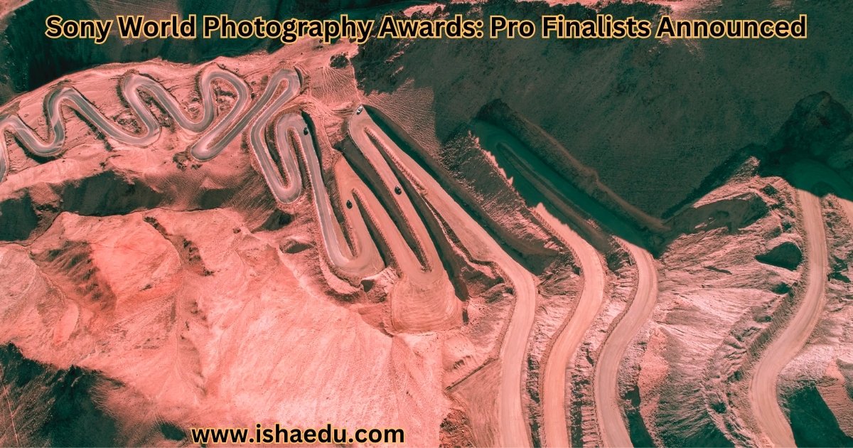 Sony World Photography Awards: Pro Finalists Announced