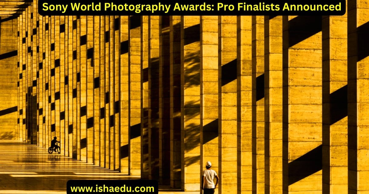 Sony World Photography Awards: Pro Finalists Announced