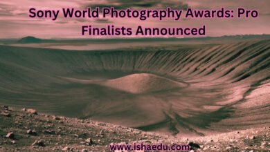 Sony World Photography Awards: Pro Finalists Announced