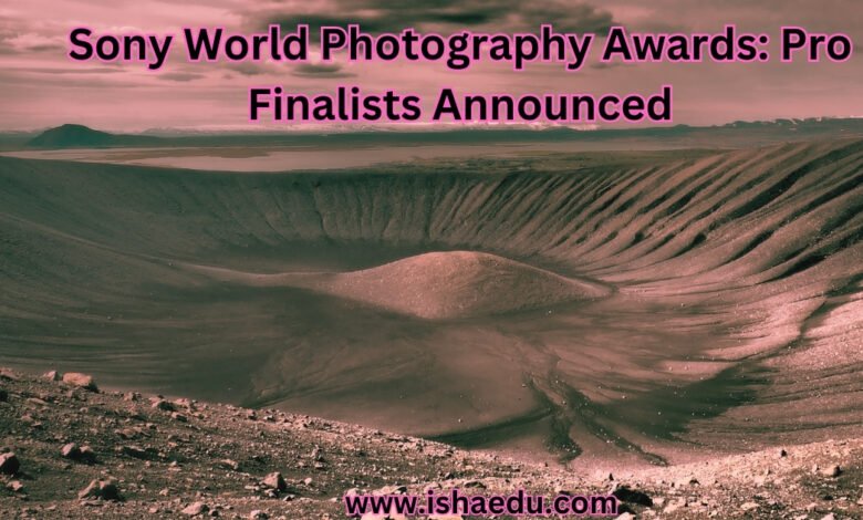 Sony World Photography Awards: Pro Finalists Announced